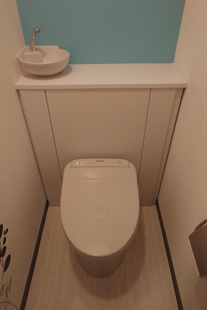 東京都江東区東砂 アルファスシティ大島 