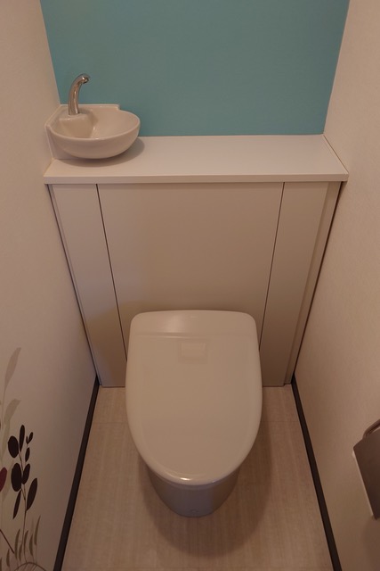 ［施工前］東京都江東区東砂 アルファスシティ大島