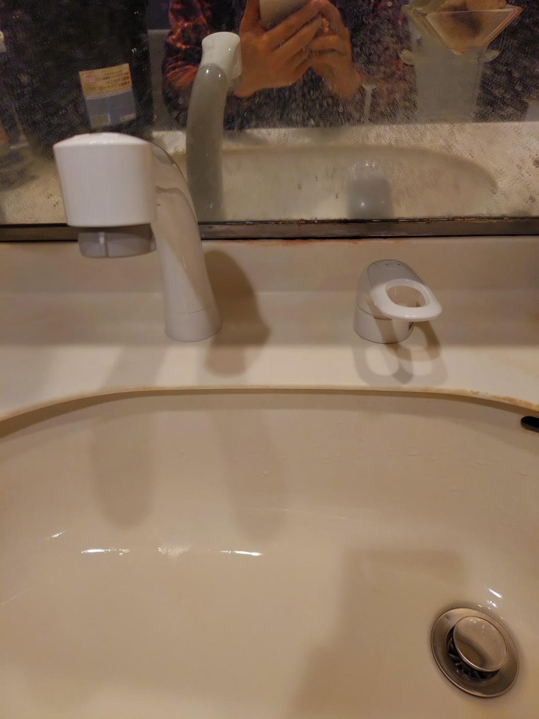 東京都調布市多摩川 レクセルガーデン調布 