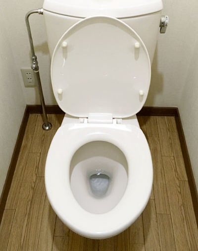 便器本体
